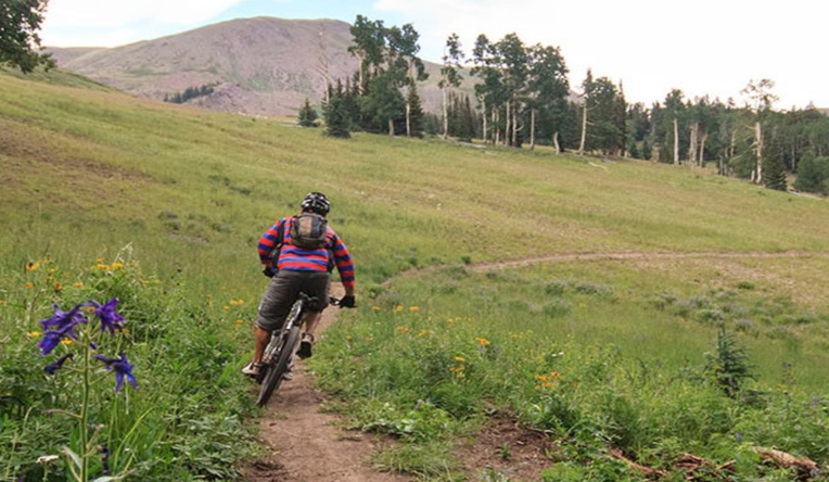 Cyclist on a mountain trail