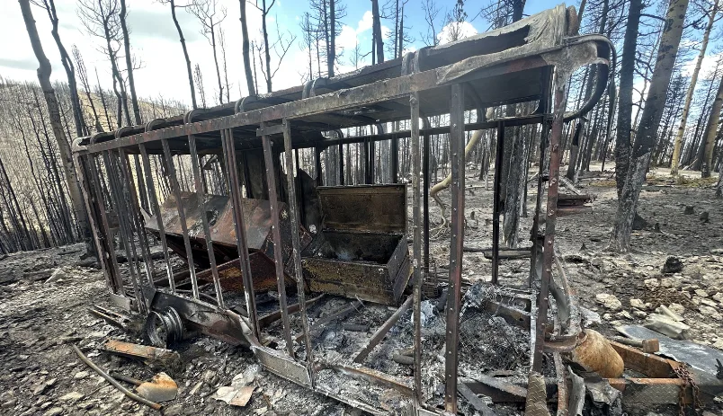 The burned metal frame of a structure surrounded by scorched trees after the Cottonwood Fire.
