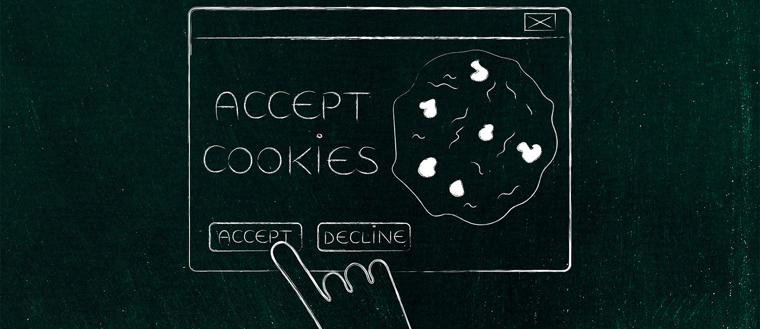 Website Cookie Policy For Alpine Mountain Escape